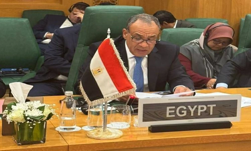 وزير الخارجية أمام «التعاون الإسلامي»: مصر ترفض أى مساس بوحدة وسيادة الصومال