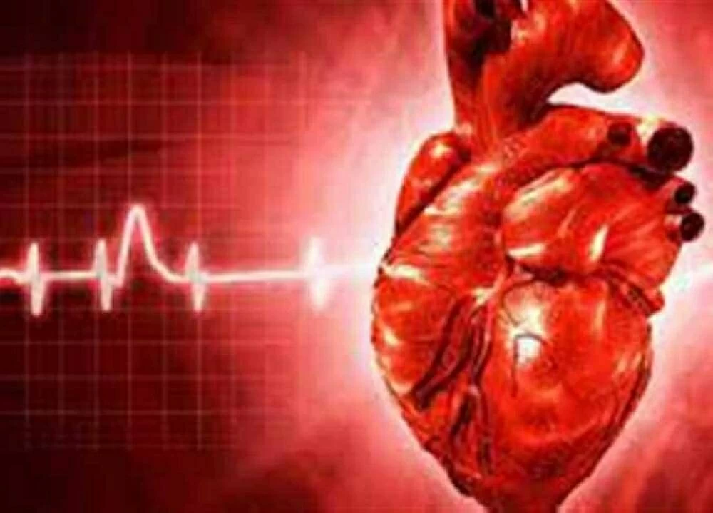 للوقاية من أمراض القلب.. 6 عادات تجنبها بعد بلوغ سن الأربعين