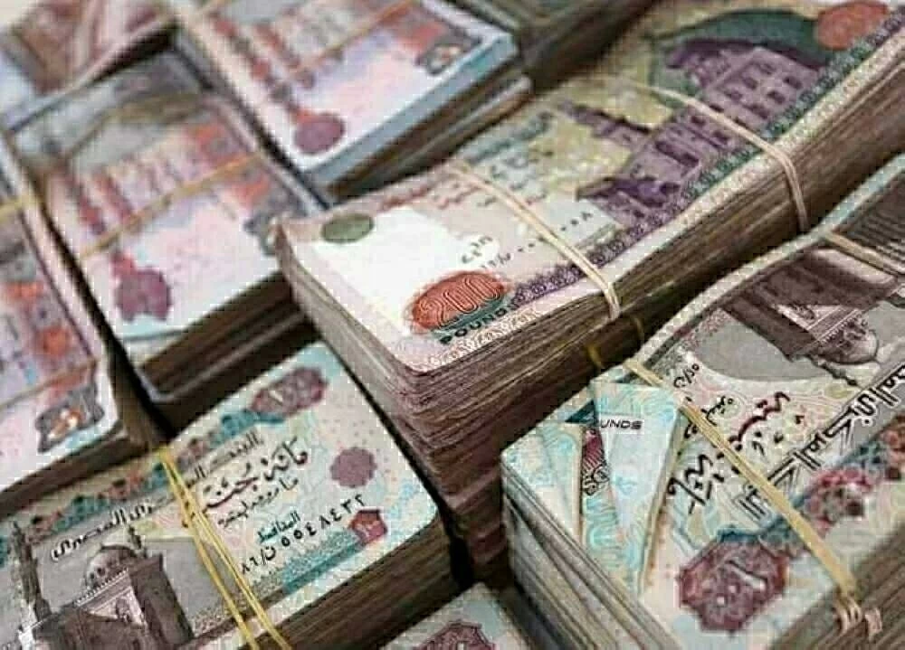 بعد تبكير المرتبات رسميًا.. موعد صرف معاشات شهر يناير 2026 ورابط الاستعلام بالرقم القومي (تفاصيل)